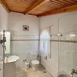Anemone * Pélekasz
