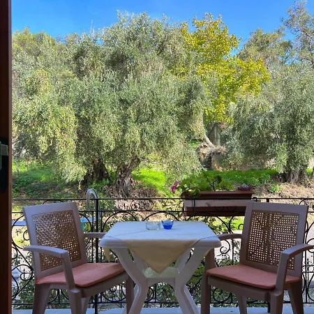 Anemone شقة بيليكاس