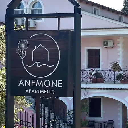 Anemone *