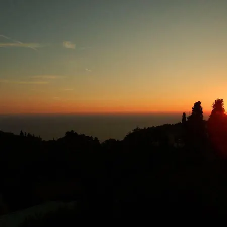 شقة Anemone بيليكاس