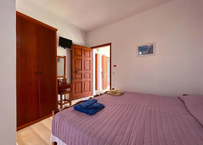 Anemone * 펠레카스